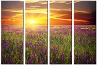 Leinwandbild 4 Teile