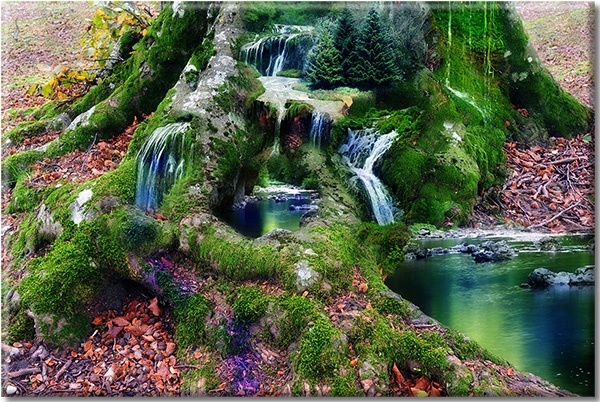 canvas-leinwandbild, abstrakt-fantasie, blumen, braun, grun, landschaft, meer-wasserfalle-seen