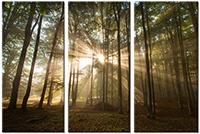 Leinwandbild 3 Teile