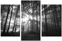 Leinwandbild 3 Teile