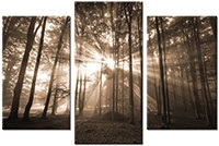 Leinwandbild 3 Teile
