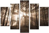 Leinwandbild 5 Teile