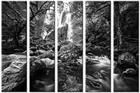 Leinwandbild 5 Teile