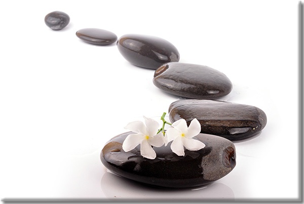 canvas-leinwandbild, blumen, braun, felsen, feng-shui-zen, orchideen, stillleben, weiss