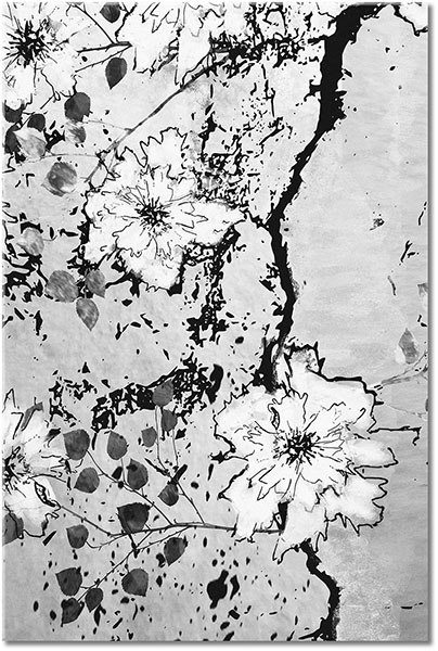 canvas-leinwandbild, beige, blumen, braun, grau, kunst, malereien, orange, schwarz, sepia, stillleben-andere-gemalde, weiss, zeichnung, zeitgenoessische-kunst