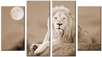 Leinwandbild 4 Teile