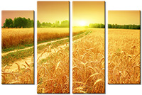 Leinwandbild 4 Teile