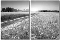 Leinwandbild 2 Teile