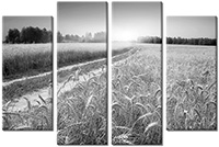 Leinwandbild 4 Teile