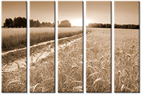 Leinwandbild 5 Teile