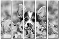 Leinwandbild 5 Teile