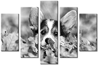 Leinwandbild 5 Teile