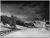 Farbversion: schwarz-weiss