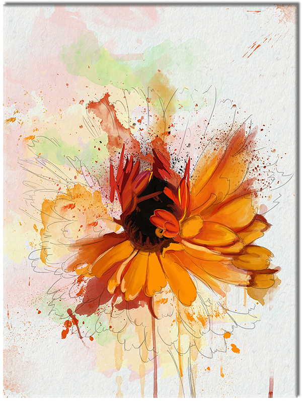 canvas-leinwandbild, abstrakt-fantasie, aquarell, blumen, kunst, malereien, orange, pink, stillleben-andere-gemalde, weiss, zeichnung, zeitgenoessische-kunst