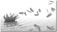 Farbversion: schwarz-weiss