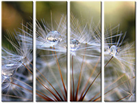 Leinwandbild 4 Teile