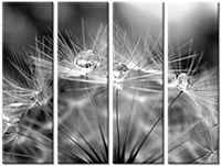 Leinwandbild 4 Teile