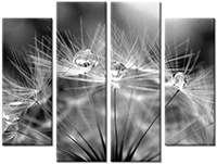 Leinwandbild 4 Teile