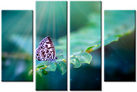 Leinwandbild 4 Teile