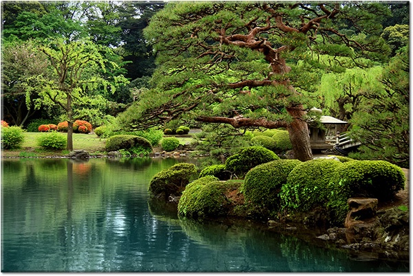 canvas-leinwandbild, andere-landschaften, baeume, braun, feng-shui-zen, gaerten, grun, landschaft, seen