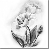 Farbversion: schwarz-weiss