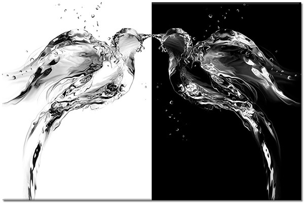 canvas-leinwandbild, abstrakt-fantasie, flug, grau, schwarz, schwarz-weiss, symmetrie, tiere, voegel, vogel-fische-insekten, wasser, weiss