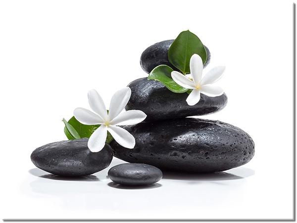 canvas-leinwandbild, blumen, felsen, feng-shui-zen, grau, grun, schwarz, stillleben, weiss, zen