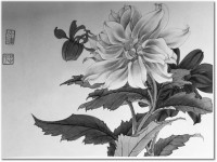 Version: noir-et-blanc