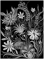 Version: noir-et-blanc