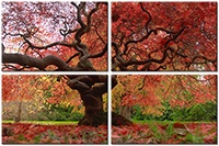 Tableau  4 panneaux