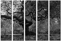 Tableau  5 panneaux