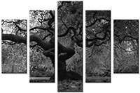 Tableau  5 panneaux