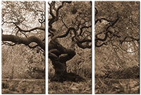 Tableau  3 panneaux
