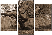 Tableau  3 panneaux