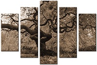 Tableau  5 panneaux