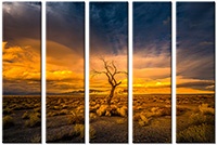 Tableau  5 panneaux