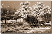 Version: sepia