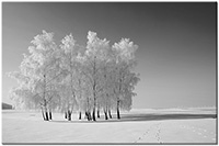 Version: noir-et-blanc