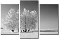 Tableau  3 panneaux