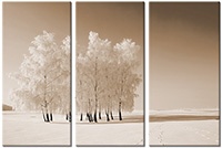 Tableau  3 panneaux