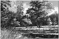 Version: noir-et-blanc