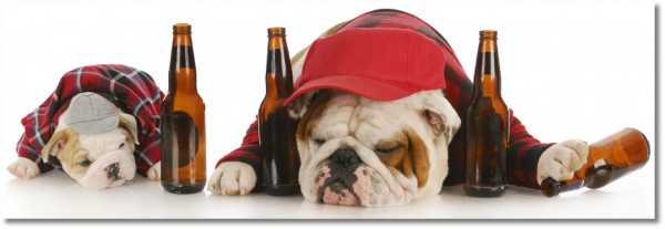 tableau sur toile, aliments-boissons, animaux, autres, beige, blanc, chiens-chats, divers, marron, rouge