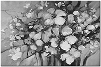 Version: noir-et-blanc