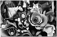 Version: noir-et-blanc