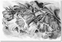 Version: noir-et-blanc