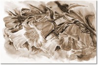 Version: sepia