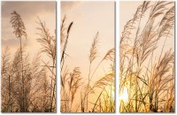 Tableau  3 panneaux