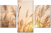 Tableau  3 panneaux