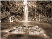 Version: sepia