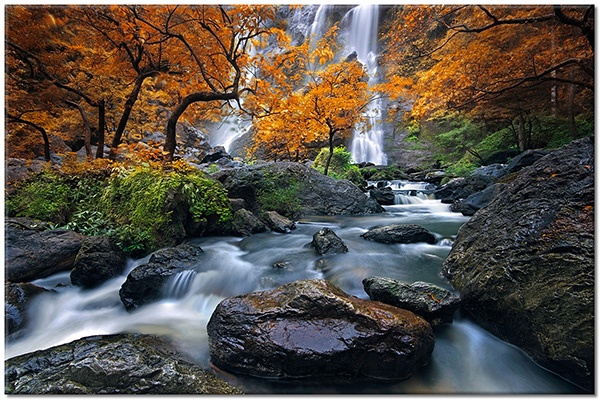 tableau sur toile, arbres, automne, blanc, cascades, forets, marron, mer-cascades-lacs, orange, paysages, pierres, riviere, rochers, vert